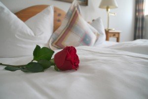 Kolberbräu_Bett mit Rose